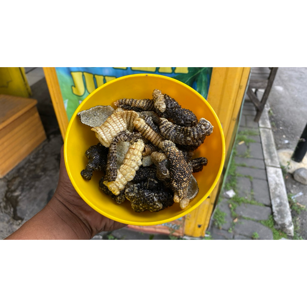 

keripik kulit biawak ( obat gatal )