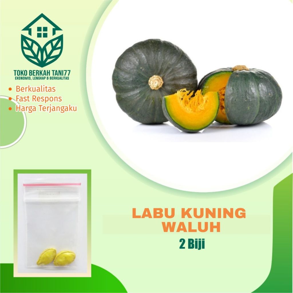 Benih Buah Labu Kuning Waluh Bibit Buah Labu Kuning Waluh Benih Buah-buahan Berkualitas