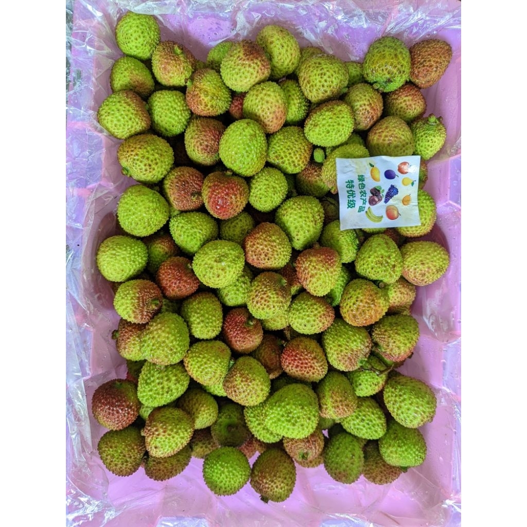 

Leci hijau 500 gram Lychee green