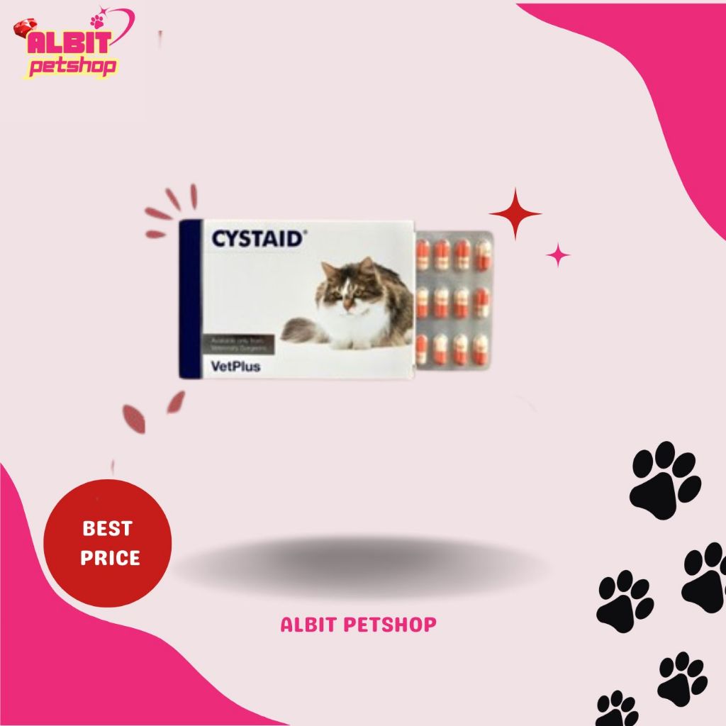 Cystaid Plus CystaidPlus Kapsul ECER Obat Gangguan Saluran Kencing FLUTD
