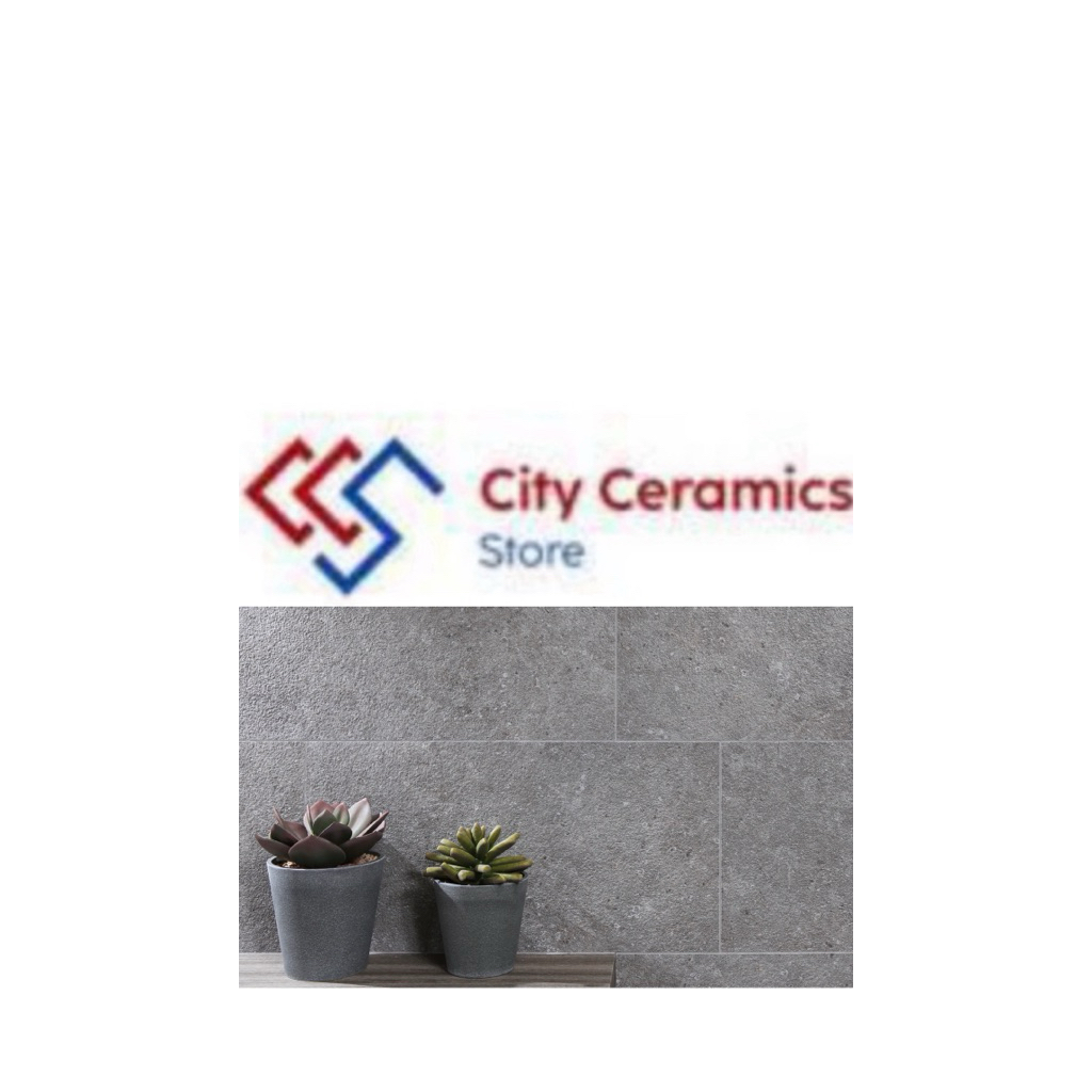 ROMAN GRANIT DPARVATI GRIGIO 60x30