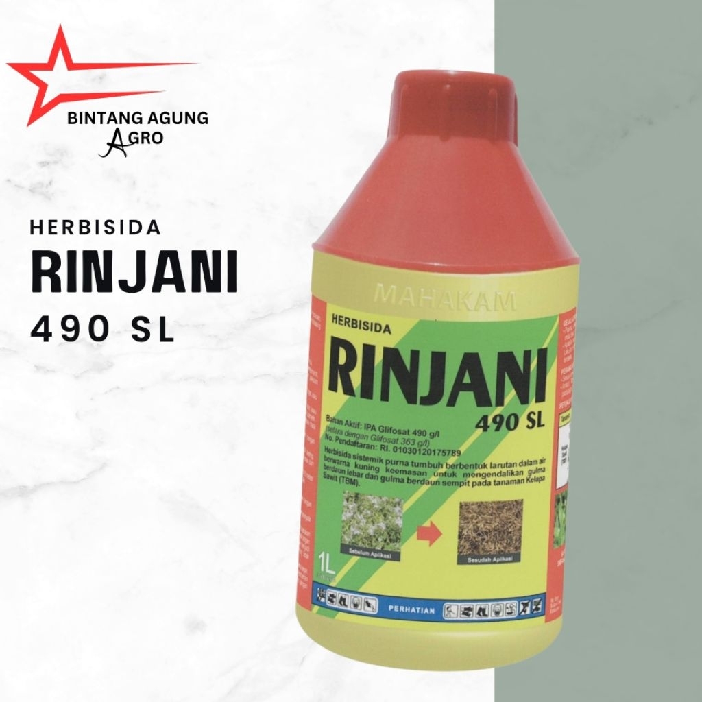 Rinjani 490 Sl