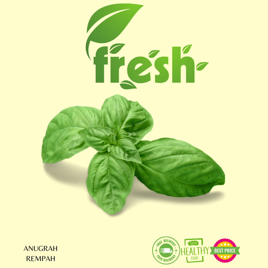 

Daun Basil 1 Ikat FRESH ANUGRAH REMPAH