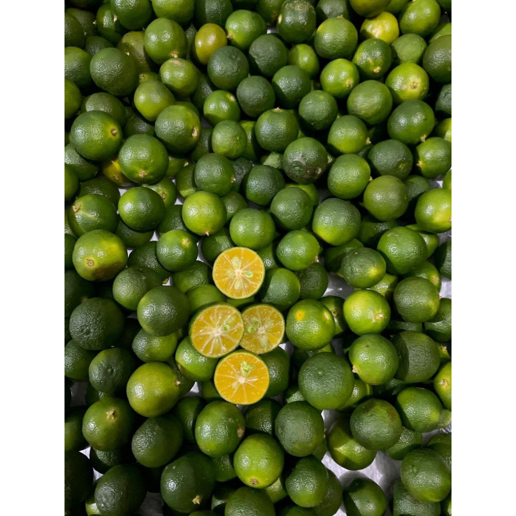 

Jeruk sonkit/Jeruk Lemon cui/Jeruk peras 500gr