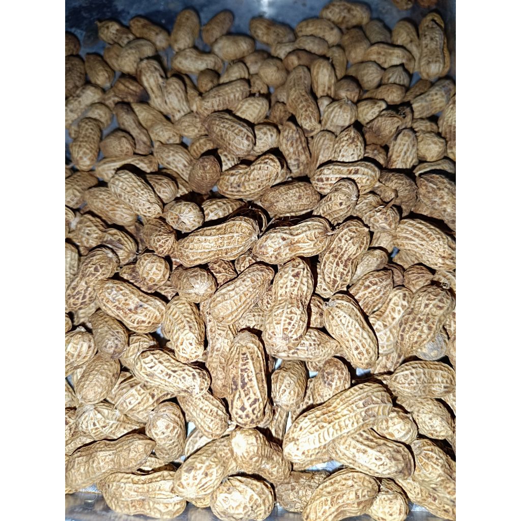 

Kacang Kulit Oven