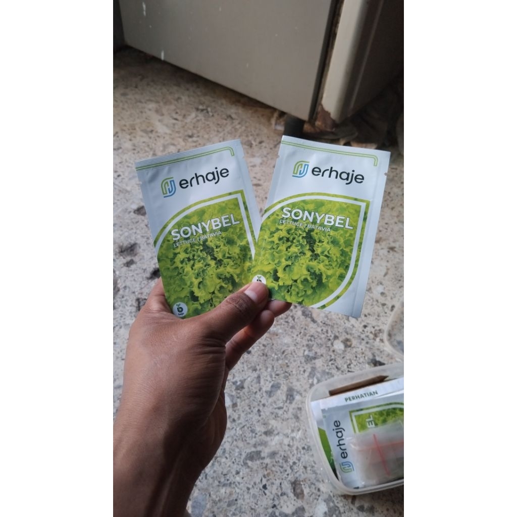 

BENIH SELADA SONYBEL