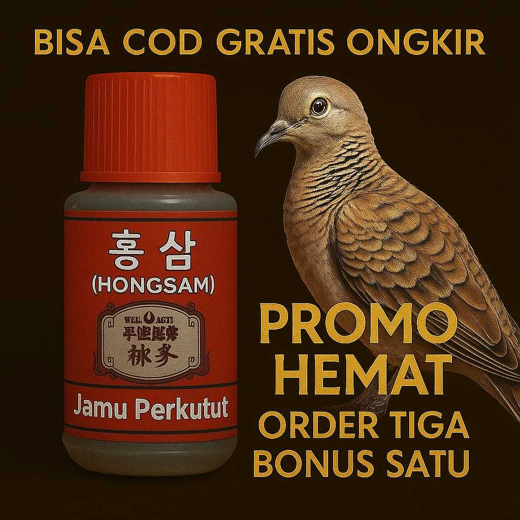 HONGSAM GINSENG Bisa COD – Gratis Ongkir Untuk Perkutut Gacor, Sehat, Mental Juara
