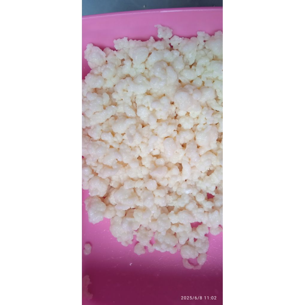 

Bibit Kefir Super