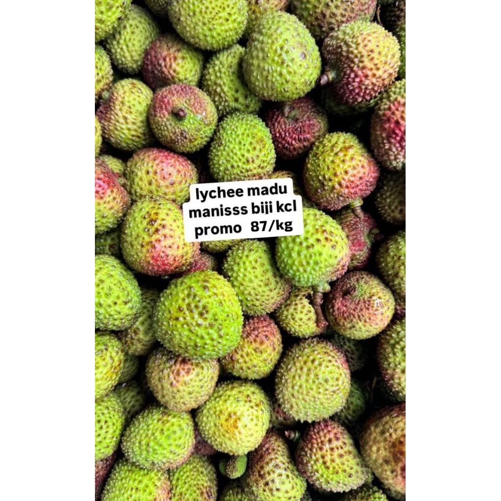 

Leci madu [ 500 - 1kg ]