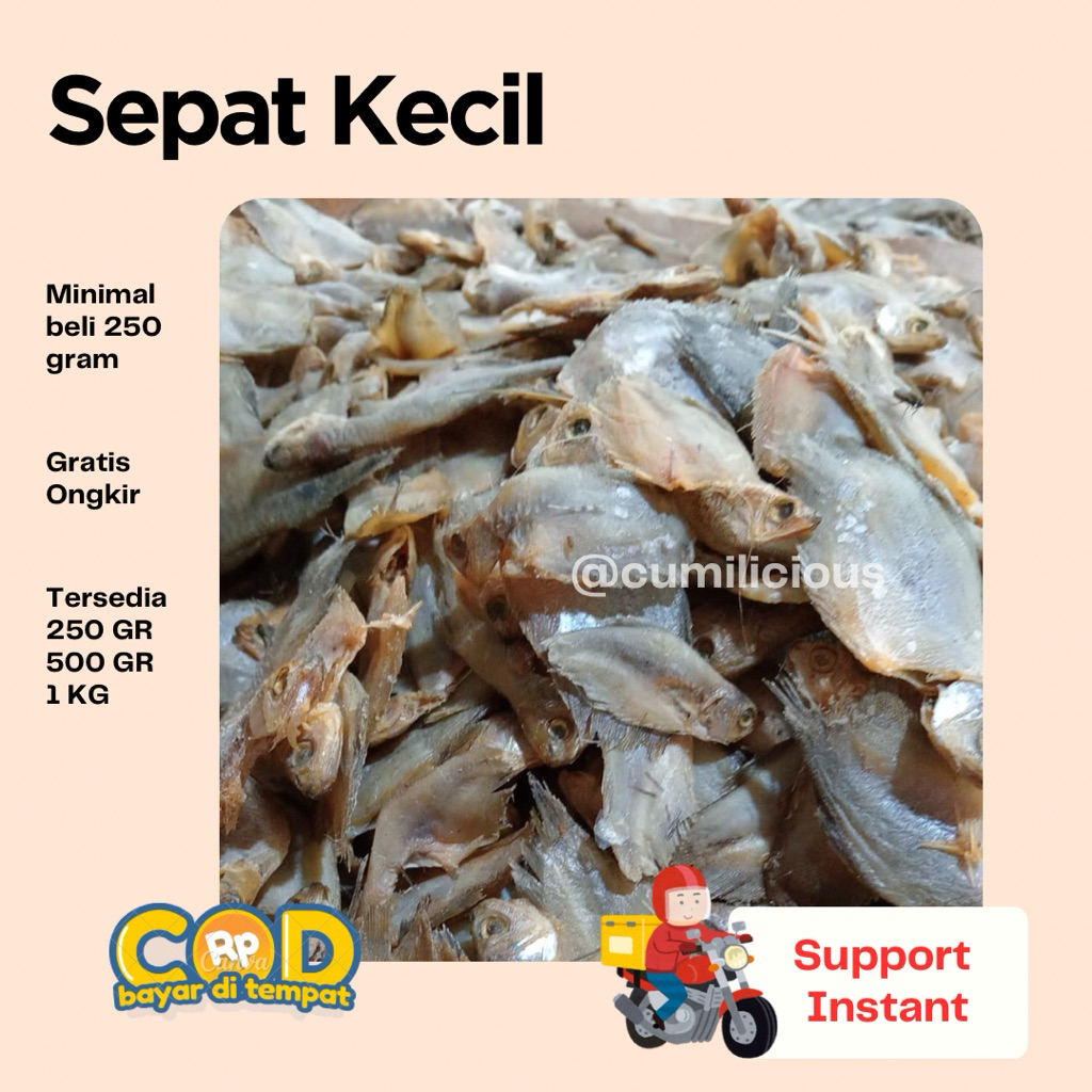 

SEPAT KECIL