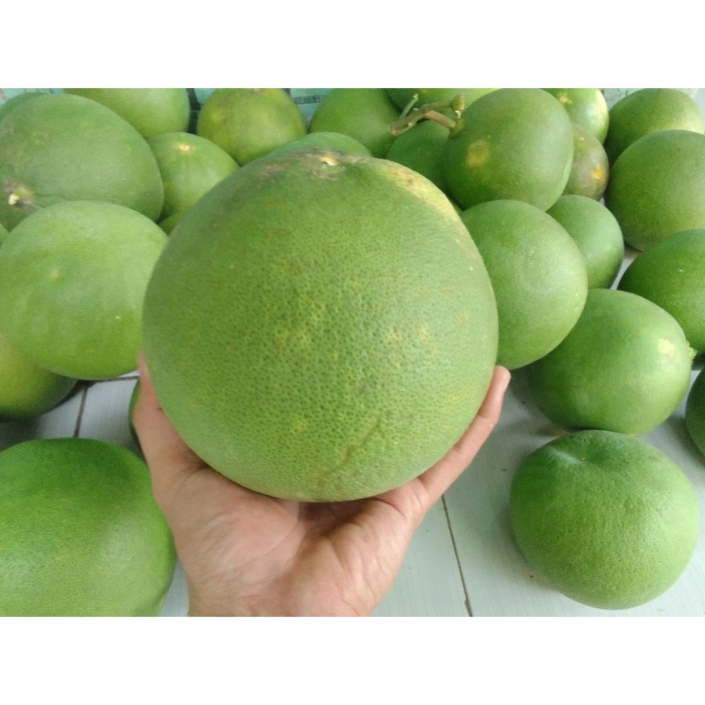 

jeruk bali rujak hasam manis