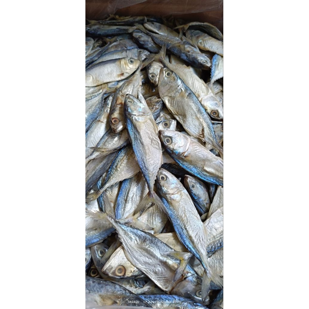 

pedo ikan asin peda