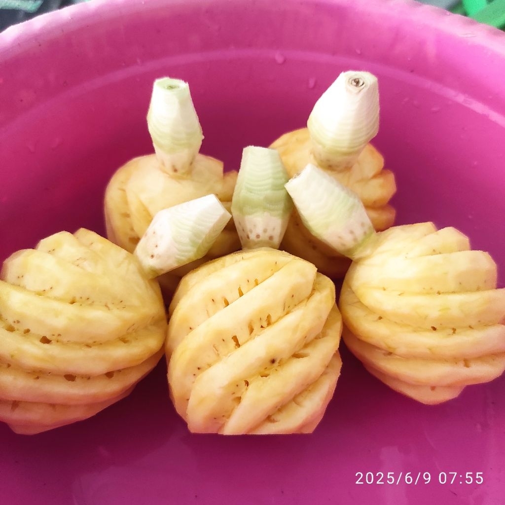 

Nanas madu kupas 1 buah BUAH NANAS MADU
