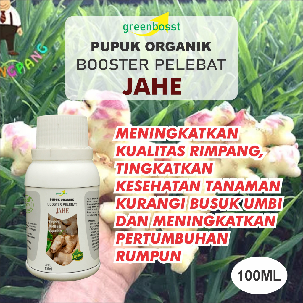 pupuk organik booster jahe 100ml, mengoptimakan produktifitas tanaman dalam jangka panjang