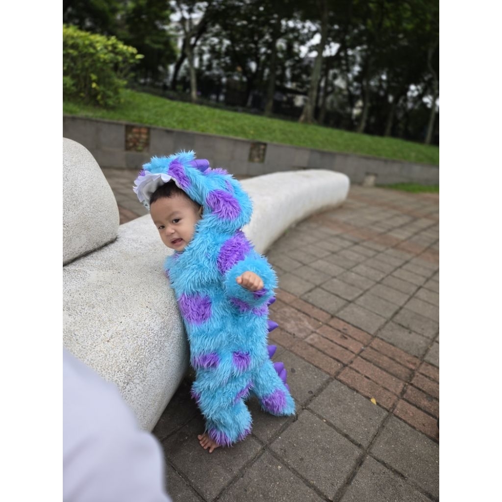 Kostum Sulley Monter Inc Disney