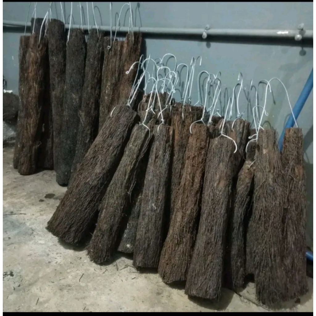 Media tanam anggrek  akar pakis /batang pakis