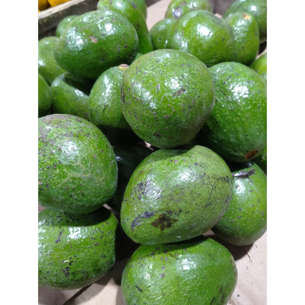 

Alpukat Segar Fresh Ukuran 1kg