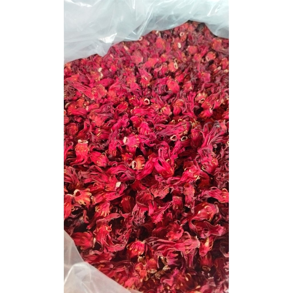 

Teh Bunga Rosella Merah Kering Kemasan 100 Gram Kualitas Panenan Terbaru