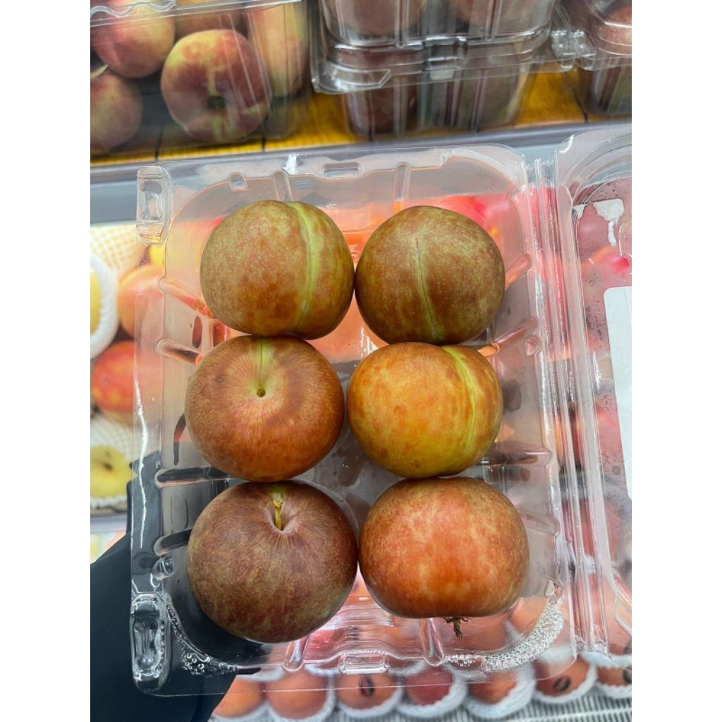 

Buah Plum Pluots USA Fresh 454 Grm