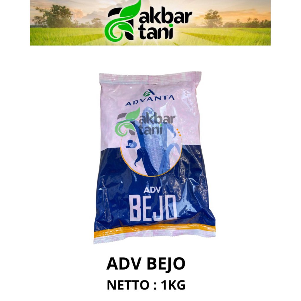 bibit jagung adv bejo 1kg benih jagung bejo adv pac 1055