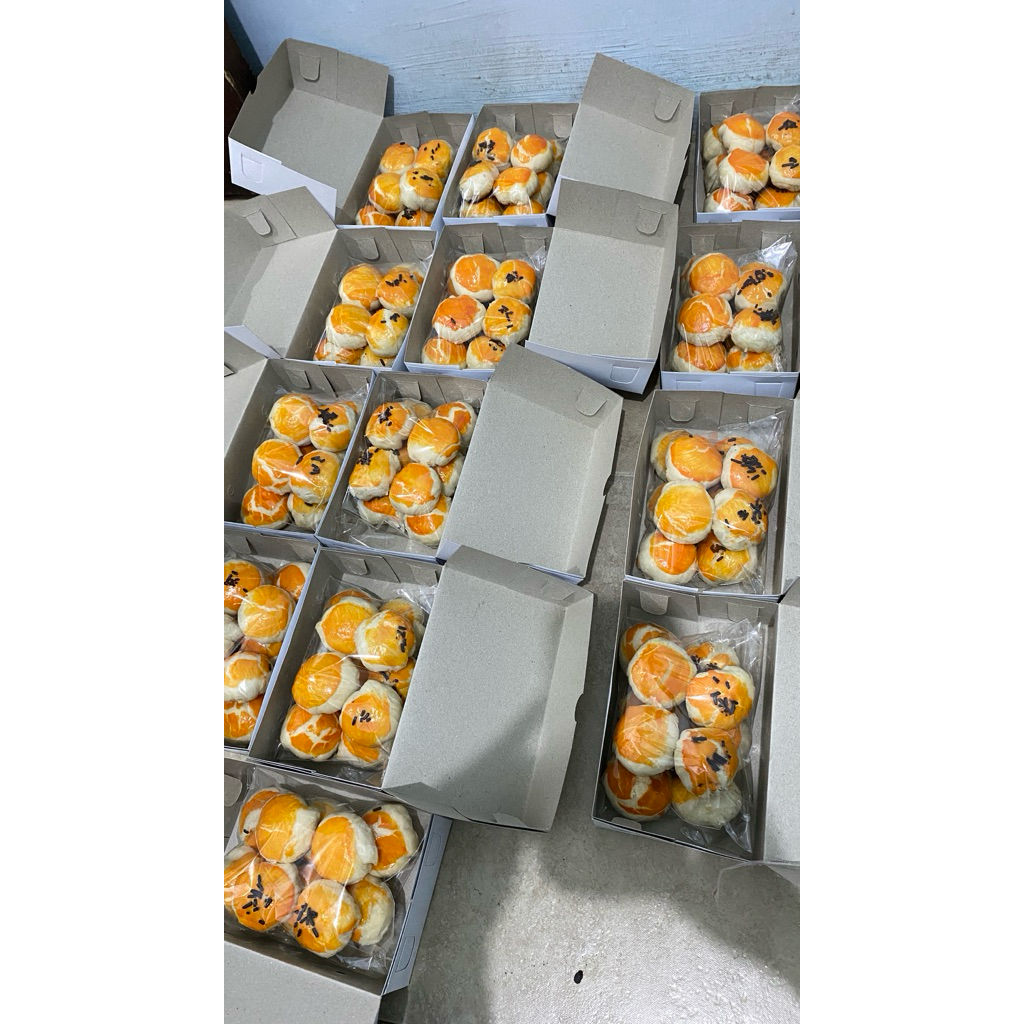 

Bakpia kering kacang hijau isi 10 pcs