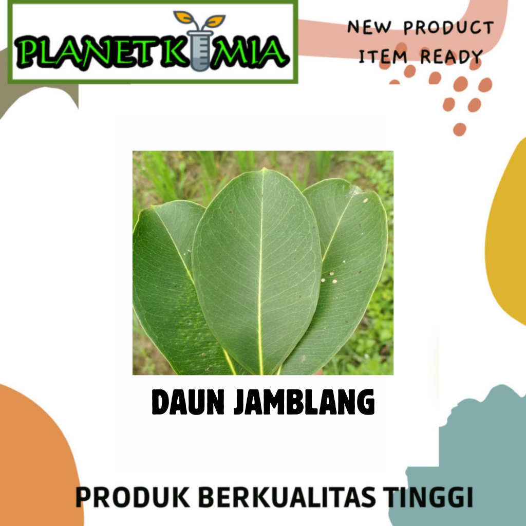 

All Varian Daun Organik Per 10 Lembar Best Quality