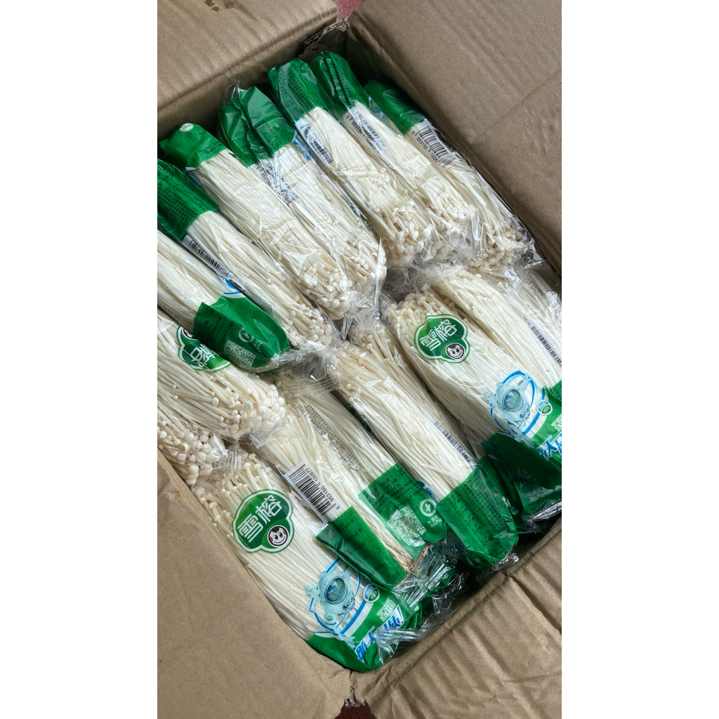 

[1 Karton] Jamur Enoki 50pcs Astronot