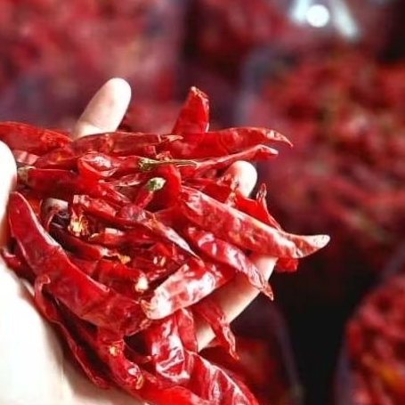 

cabe kering japlak tanpa tangkai 1 kg