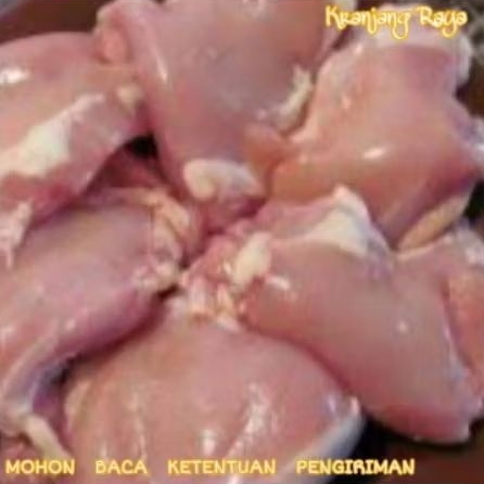 

Paha Fillet Fresh / Ayam Fresh