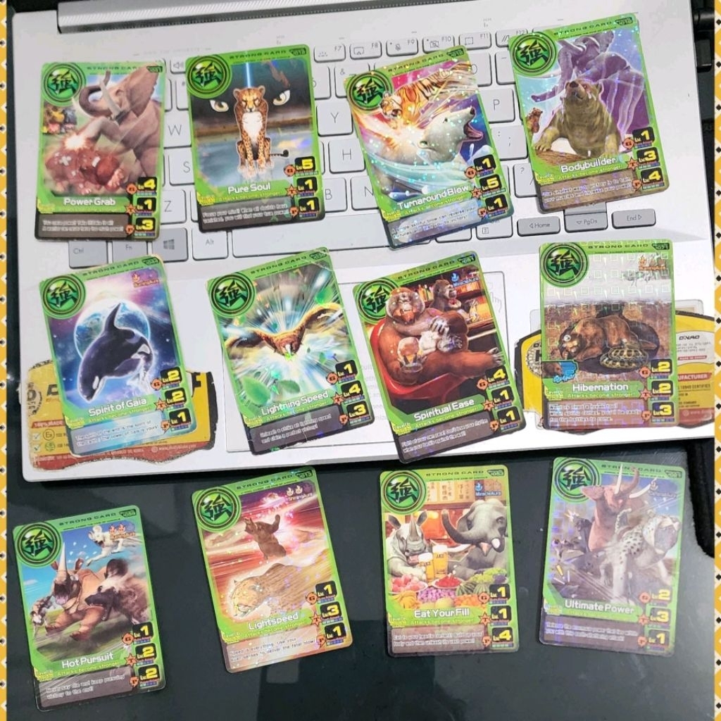 paket animal kaiser strong card