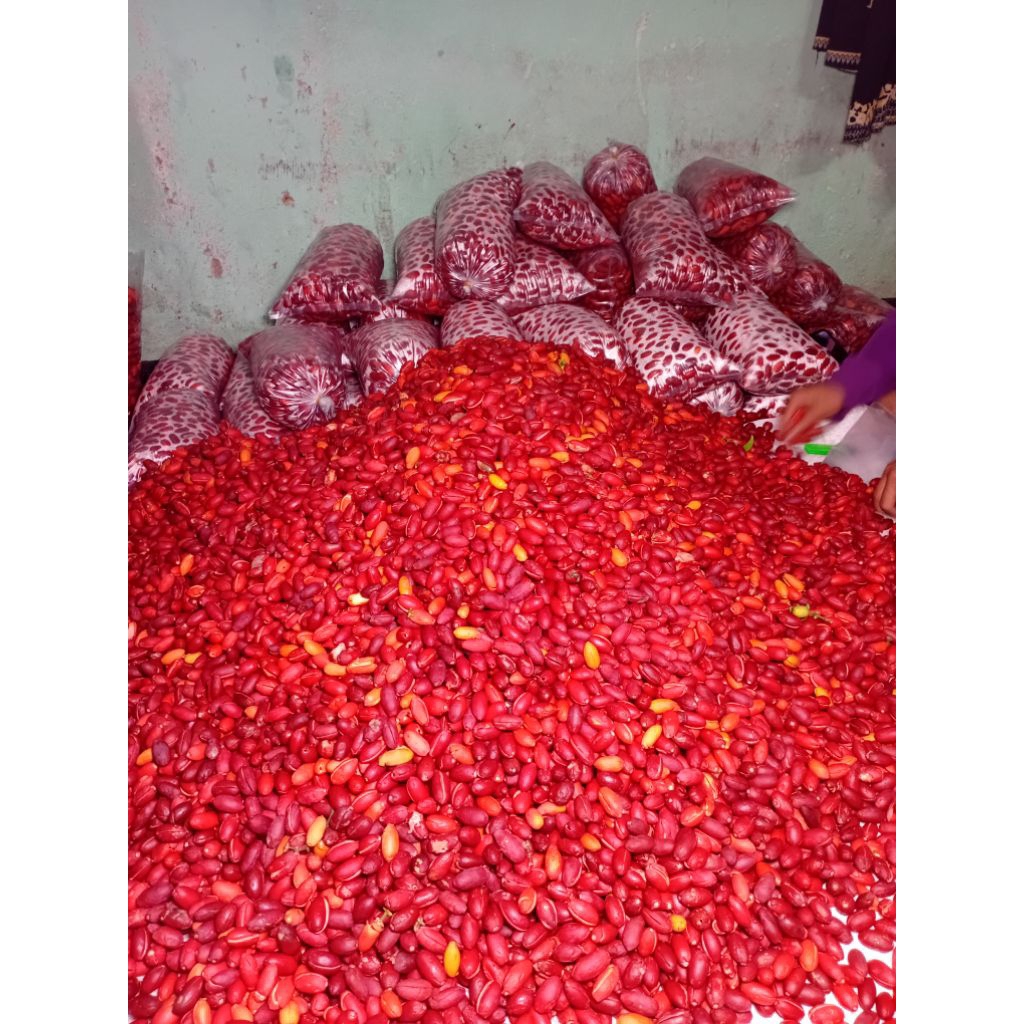 

3kg kulit melinzo fresh garansi busuk