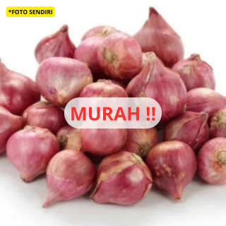 

BAWANG MERAH BERKUALITAS LANGSUNG DARI PETANI SIAP ANTAR SEKARANG JUGA