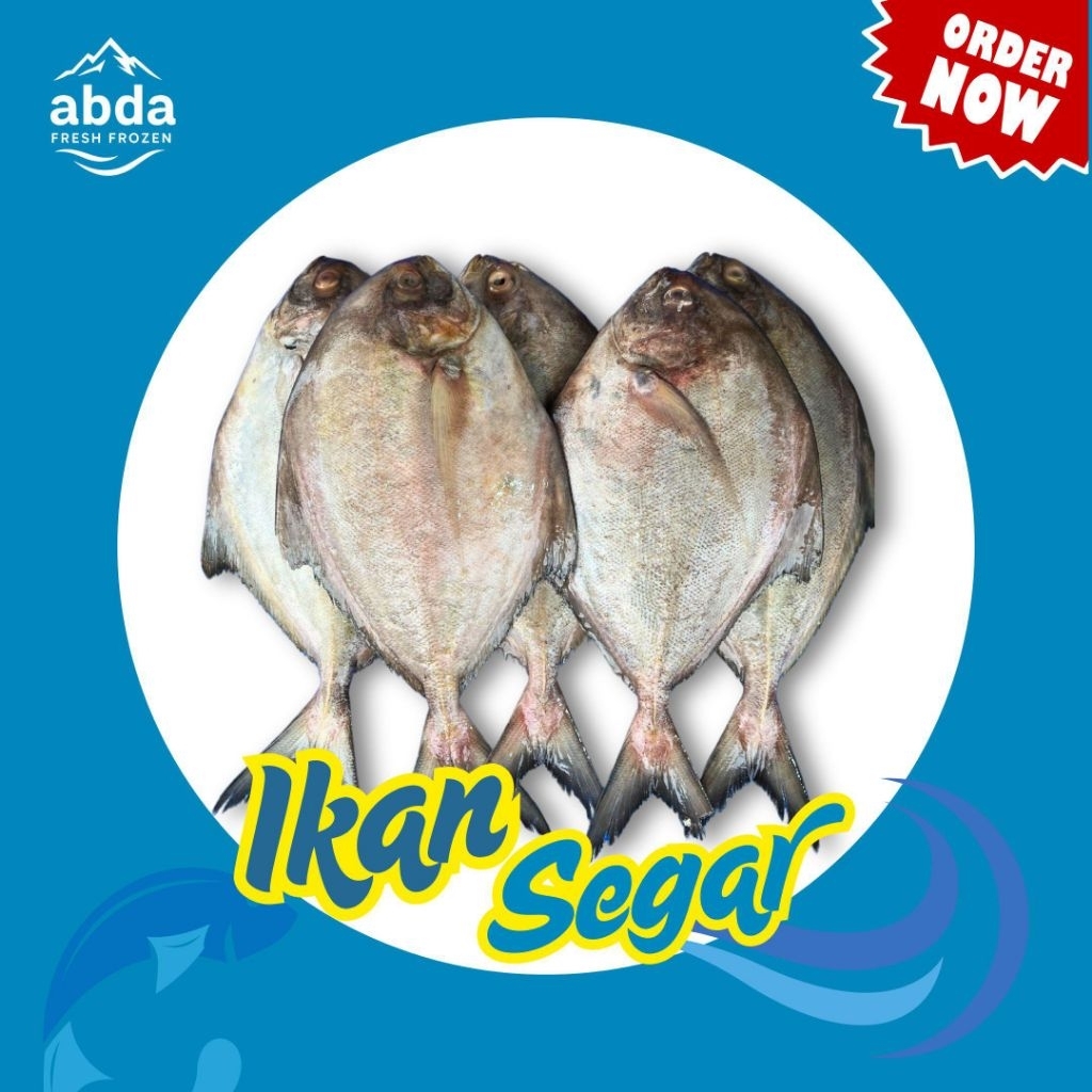 

Ikan Bawal Laut 950gr - 1kg