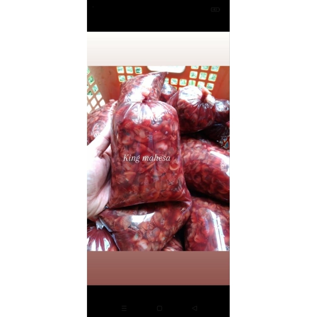 

daging kerang dara kupas fresh segar seafood perkilo