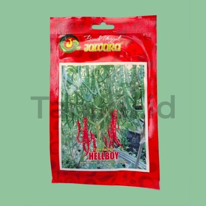 Benih cabe keriting lokal hellboy +- 400 biji 2 gr
