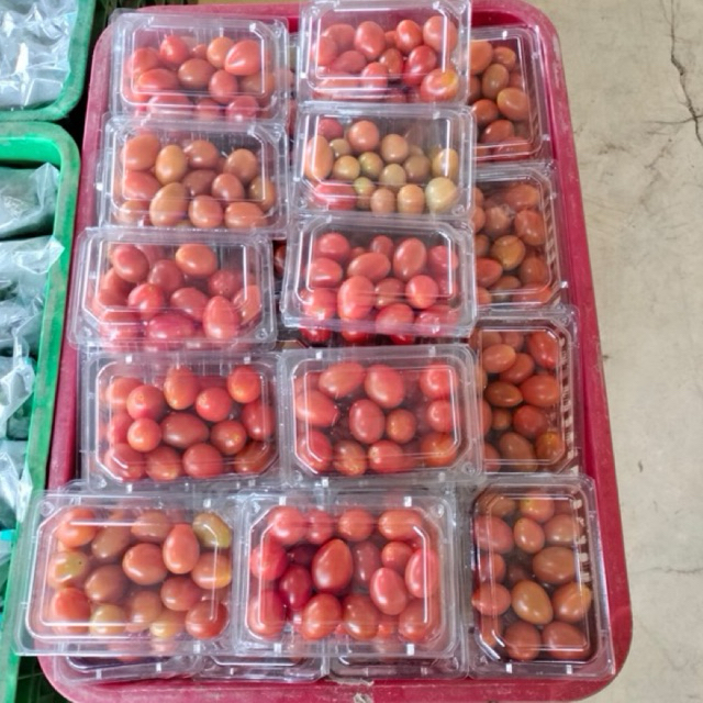 

Tomat Chery (1 pack)