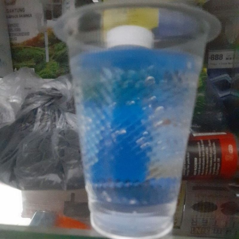 cairan ikan chana Bankanensis