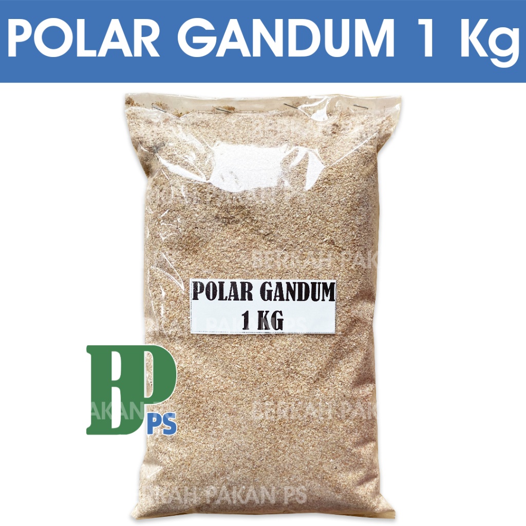 Polar Gandum 1 Kg Pakan Ternak Cap Angsa