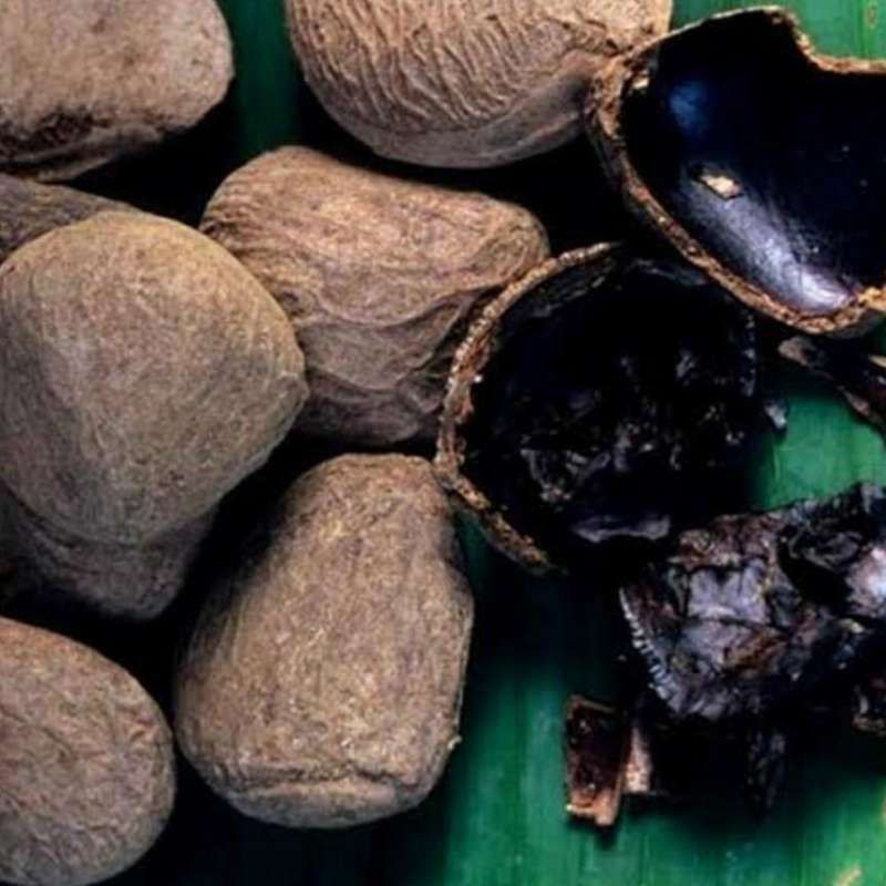 

Kluwek 100 Gram Picung Pucung Sudah Siap Olah Kluwek Hitam Bumbu Rawon Sambal Picung