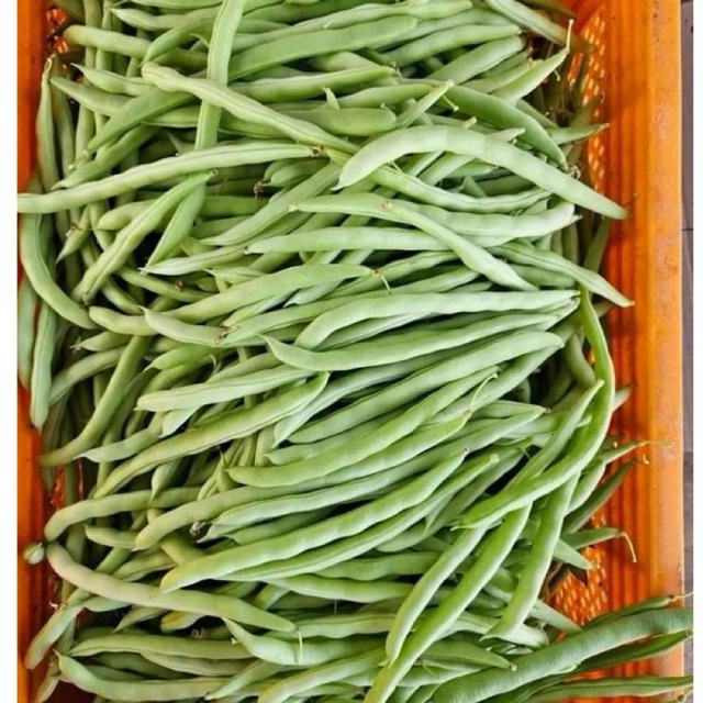 

buncis sayur fresh segar 1kg