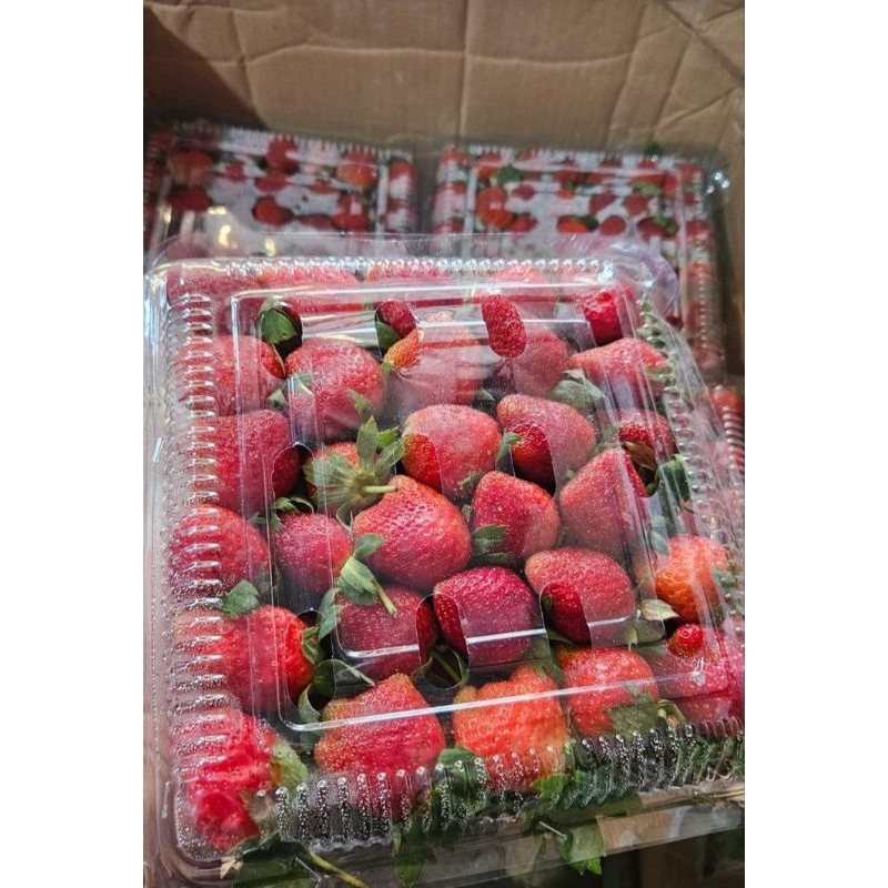 

STROBERI FRESH KURLEB 1KG, YANG DAPET YANG GERCEP BISA CHAT ADMIN DULU