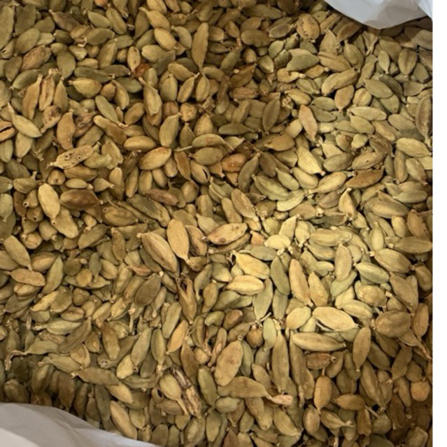 Kapulaga 1kg kapulaga arab kapulaga hijau cardamon FRESH