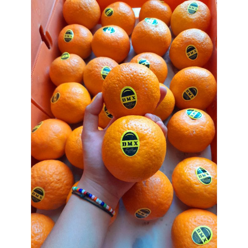 

jeruk wogam manis banyak air,fresh selalu,wendulita/500gr