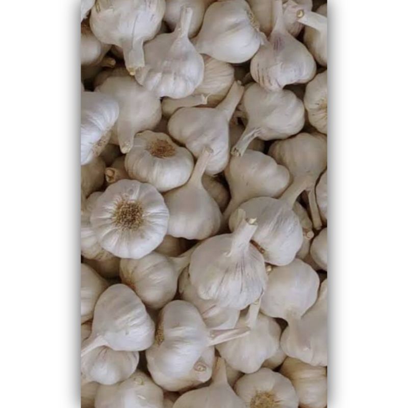 

Bawang Putih Kulit Paket Hemat [Kemasan Wrap]