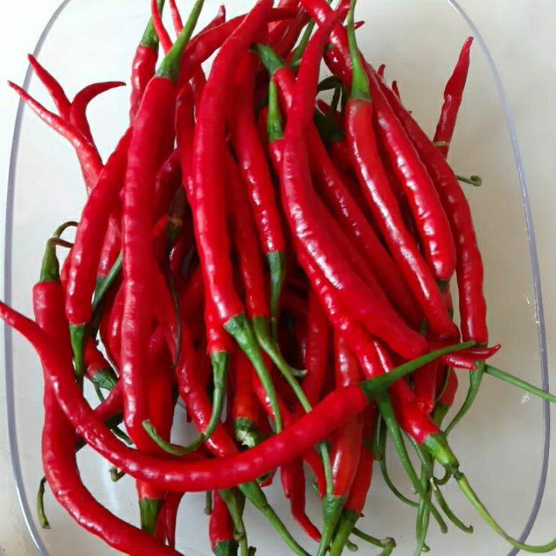 

Cabe Merah Keriting Super 1kg