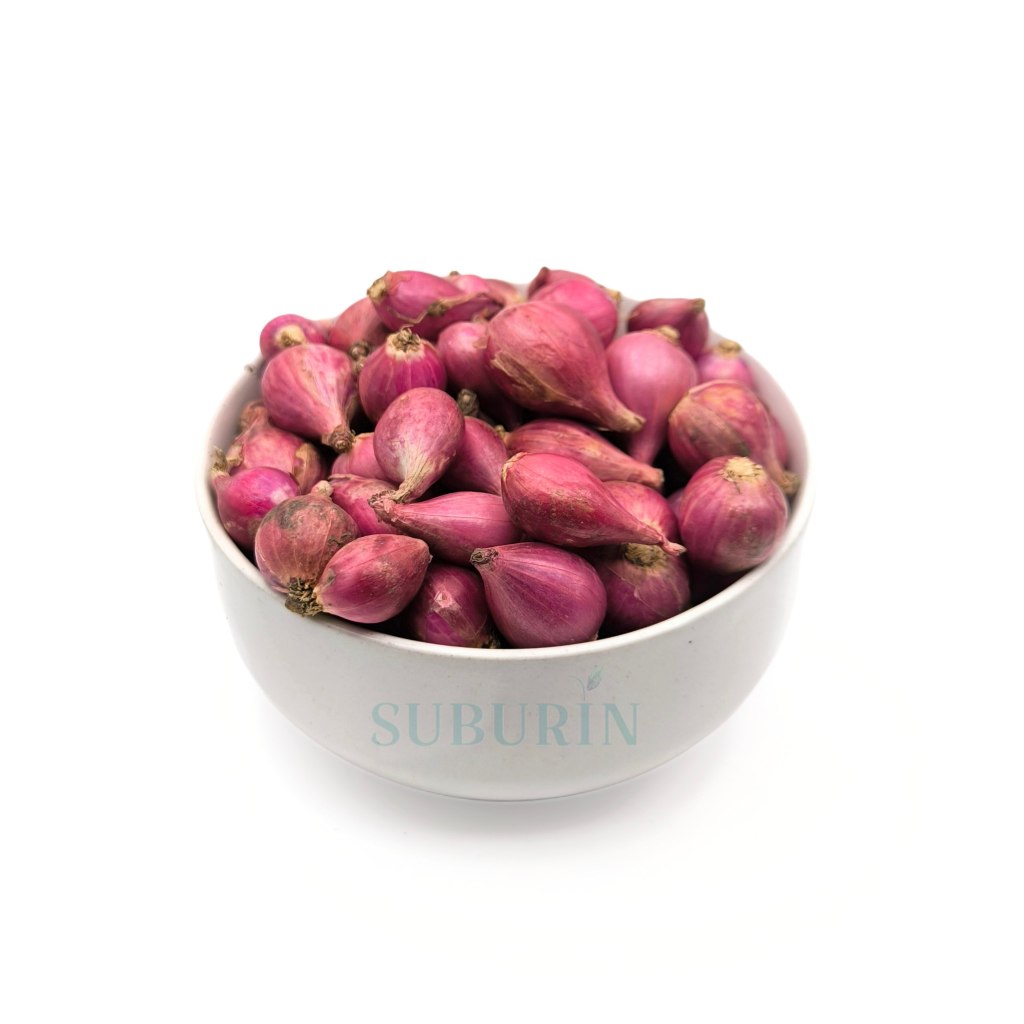 

Bawang Merah Brebes Ukuran Sedang Fresh Kering - Bawang Merah Berkualitas Tinggi dari Indonesia