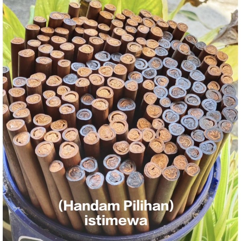 

Handam Pilihan istimewa (Belum raut)