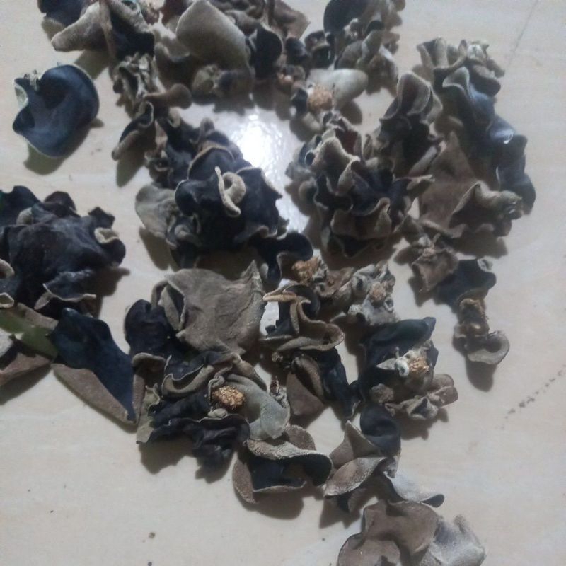 

jamur kuping kering kecil / rencekan jamur kuping / berat 500gr dan 1kg