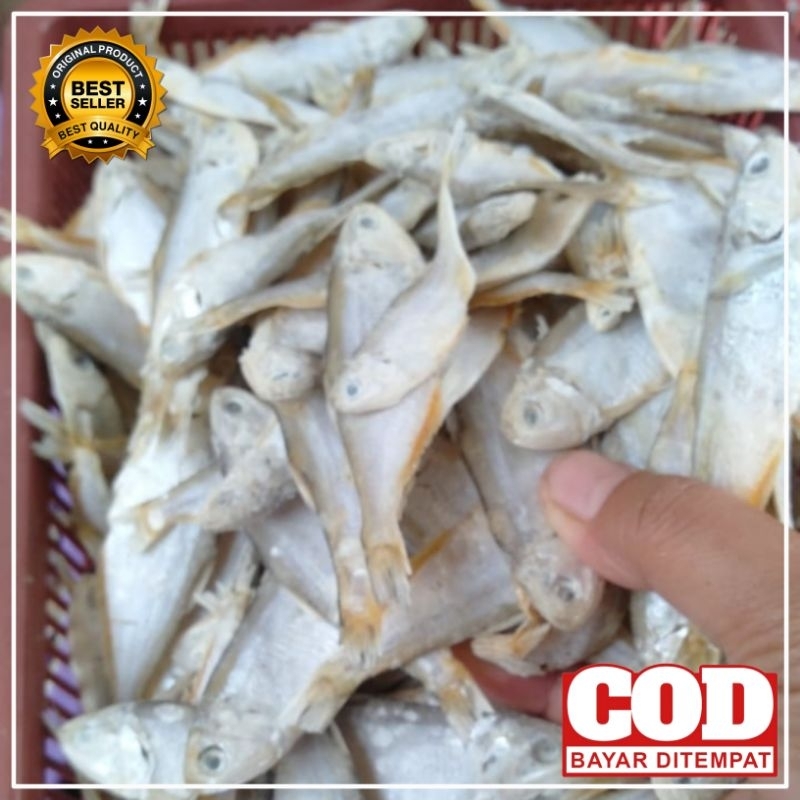 

Ikan Asin bilis khas Cilacap berkualitas 250g 500g 1kg