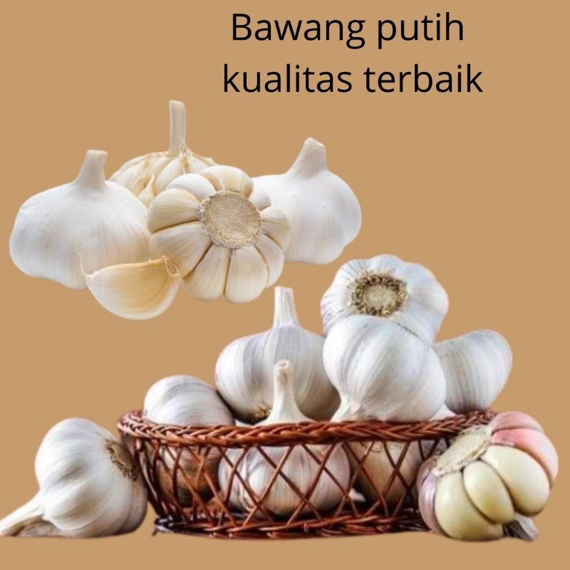 

BAWANG PUTIH SEGAR BERKUALITAS TERBAIK